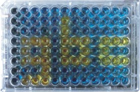 TMB Substrate